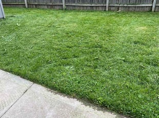 Leah V.'s lawn care service result