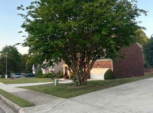 Faisal I.'s grass cutting service result