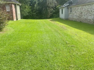 Terrance D.'s lawn care service result