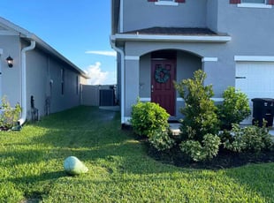 Sarah C.'s lawn care service result