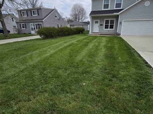 Kayla R.'s lawn care service result