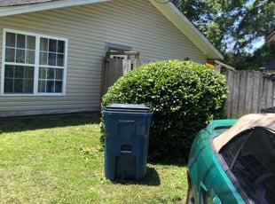 Bill M.'s Bush Trimming service result