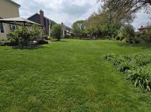 Kyle A.'s grass cutting service result
