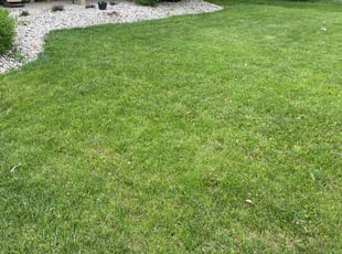 David S.'s lawn maintenance service result