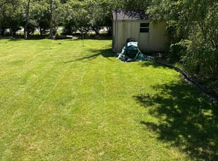 Tayo B.'s lawn care service result