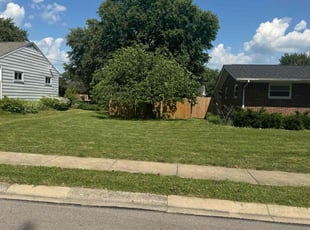 Chris D.'s lawn care service result