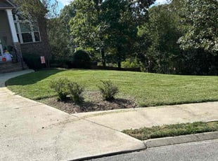 Christy S.'s lawn maintenance service result