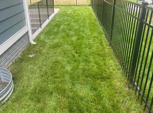 April D.'s turf care service result