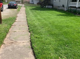 Asia C.'s grass maintenance service result