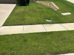 Mark E.'s lawn care service result