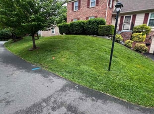 Cindy K.'s lawn maintenance service result