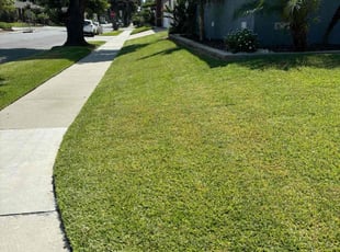 Matthew C.'s grass maintenance service result