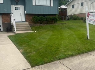 David C.'s turf maintenance service result