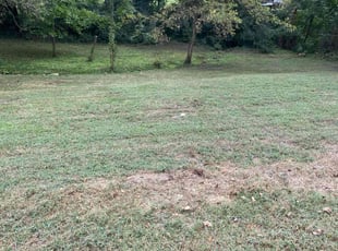 Julie W.'s turf care service result