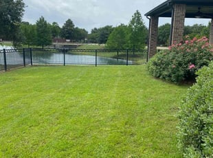 Rozalyn L.'s grass maintenance service result