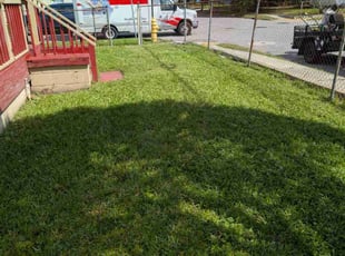 Dana M.'s turf maintenance service result