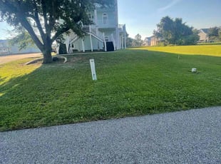 Sandy R.'s grass maintenance service result