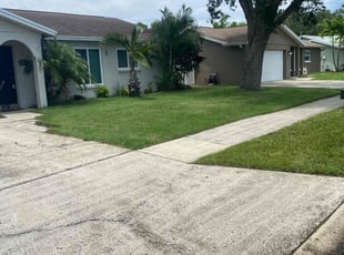 Sarah d.'s grass cutting service result
