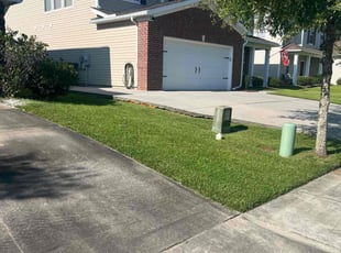 Brittany B.'s turf maintenance service result