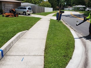 Cody H.'s yard maintenance service result