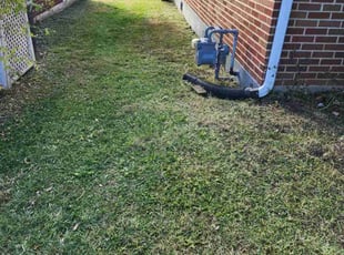 Breanne H.'s grass cutting service result