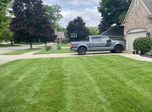 Naveen V.'s grass maintenance service result