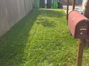 Rashaun B.'s lawn care service result