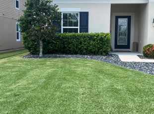 Jahan M.'s Bush Trimming service result