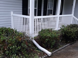 Dominic M.'s Bush Trimming service result