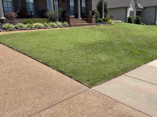 Mike B.'s lawn care service result