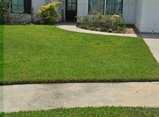 Christian L.'s turf maintenance service result