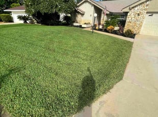 William D.'s lawn maintenance service result