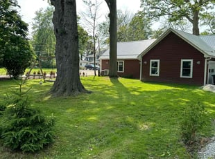 Eloise R.'s lawn maintenance service result