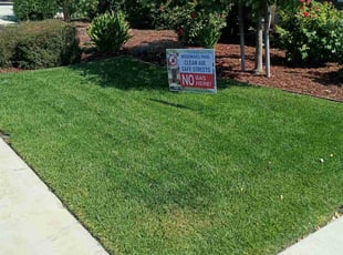 Christina H.'s lawn care service result