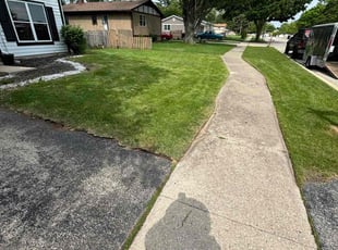 Philip M.'s grass cutting service result