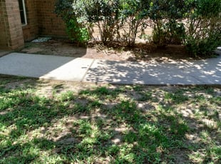 Jacqueline M.'s Bush Trimming service result