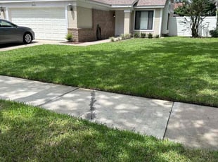 Teresa B.'s lawn care services service result