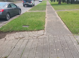 Adraine K.'s grass cutting service result