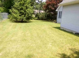 Sharon L.'s lawn care services service result