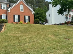 Glenn J.'s lawn care service result