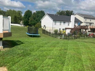 LaQuesha Q.'s grass cutting service result