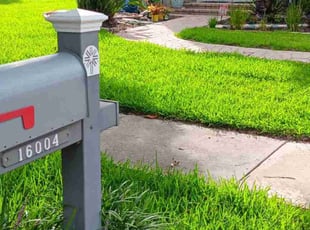Janice W.'s lawn service service result