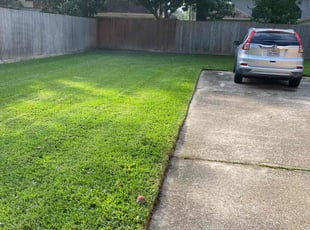 Nougen G.'s lawn care service result