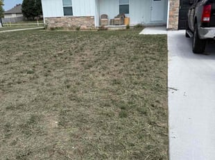 Tamara R.'s turf maintenance service result