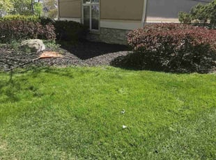 Roger L.'s Cleanup service result