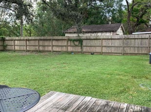 Natasha A.'s grass cutting service result