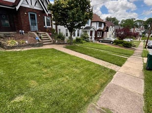 Richard C.'s lawn maintenance service result