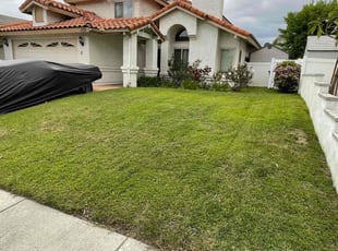 Mark D.'s turf care service result