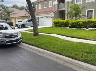 Chris E.'s lawn service service result