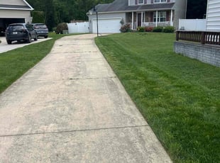 Deemo O.'s lawn maintenance service result